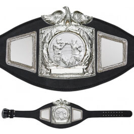 Boxing Championship Belt